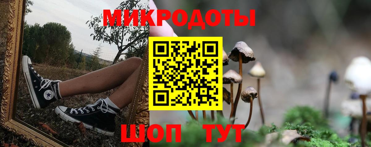 Псилоцибиновые грибы MAGIC MUSHROOMS Прохладный
